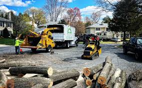 Best Tree Mulching  in Timberlane, IL